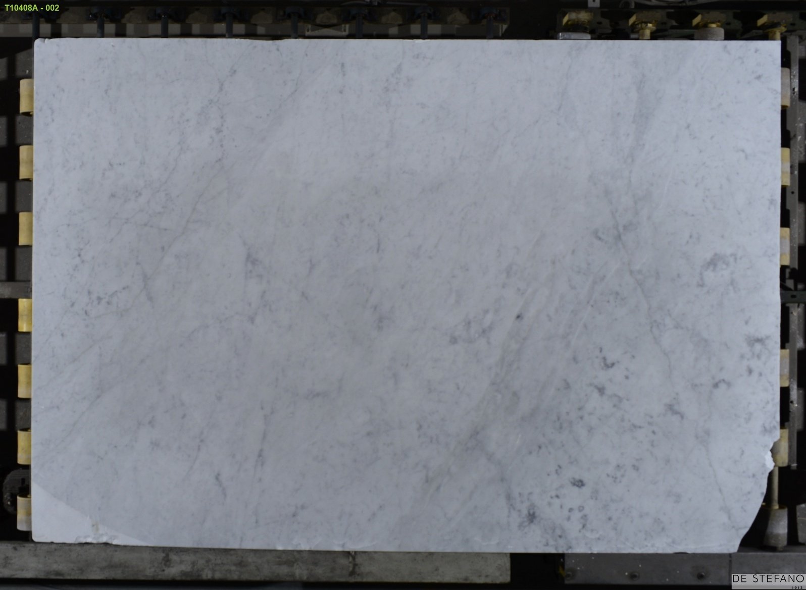 Blanco Venatino - Imagen 2