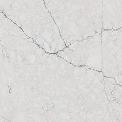  Blanco Silver