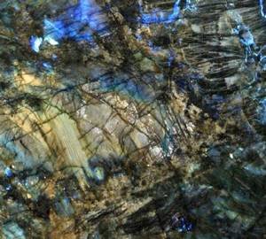 Spectra Blue