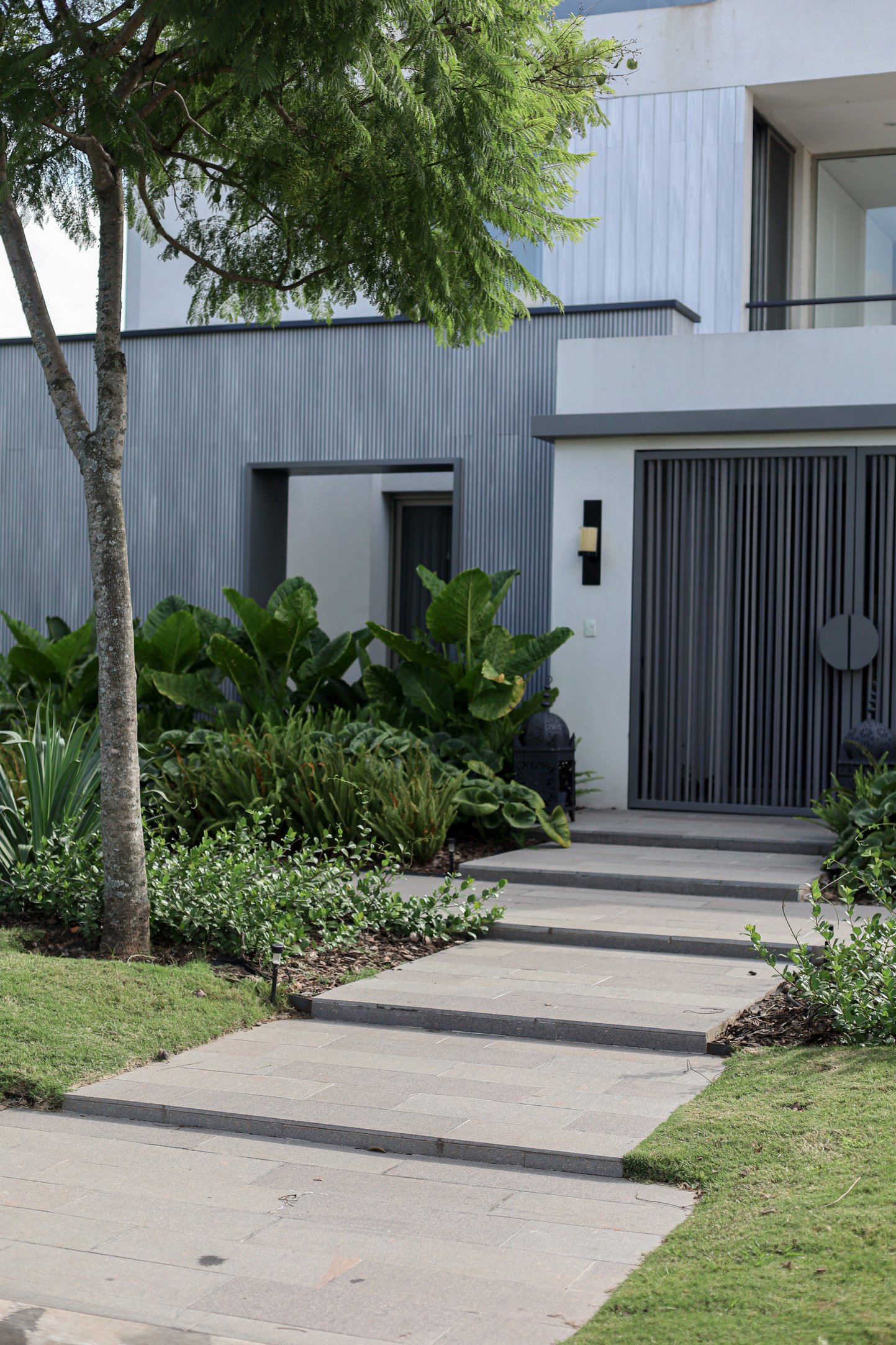 Pórfido Fiamantado - Imagen 4