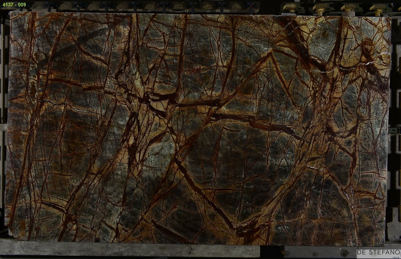 Marrón Bosque - Imagen 5