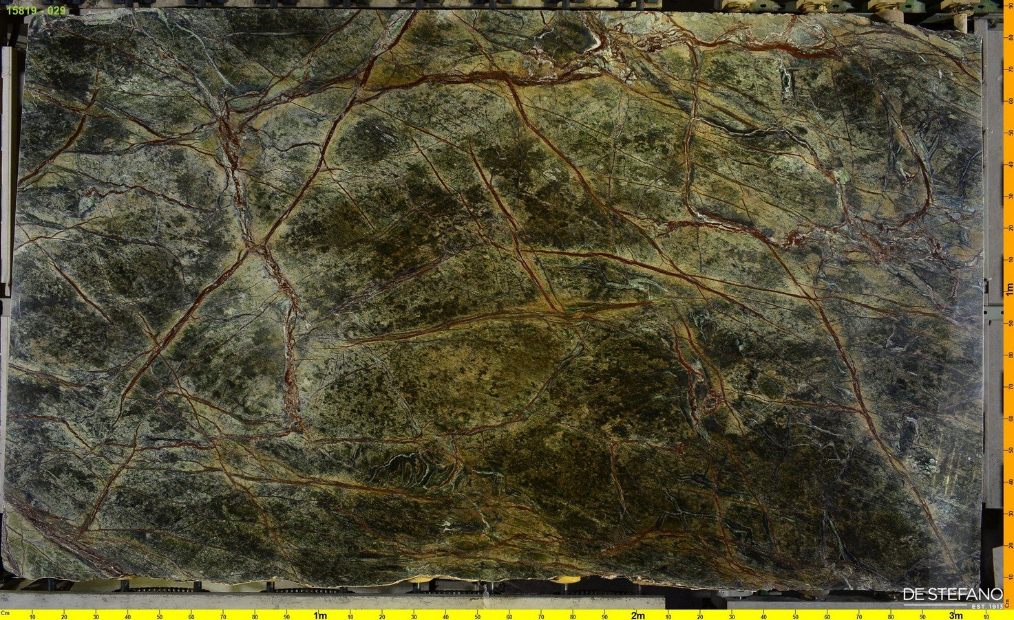 Verde Bosque - Imagen 4