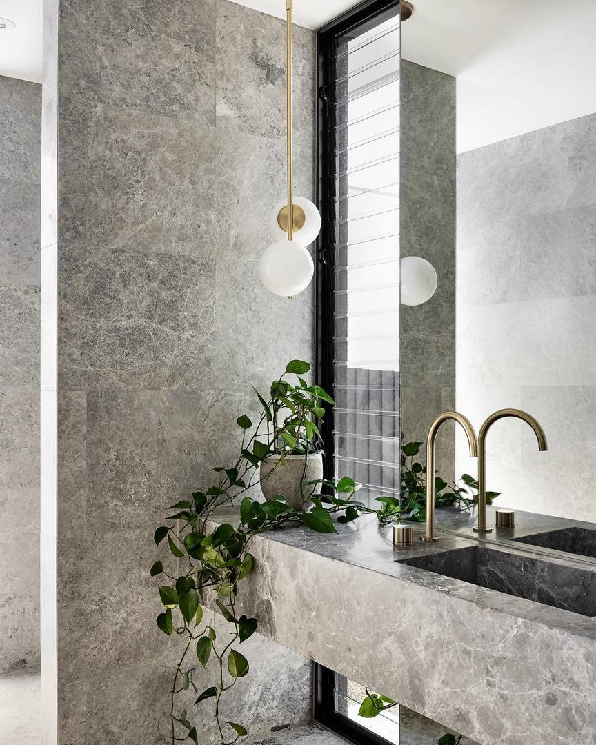 Grey Emperado - Imagen 3