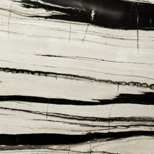 Panda White (Dalmata)