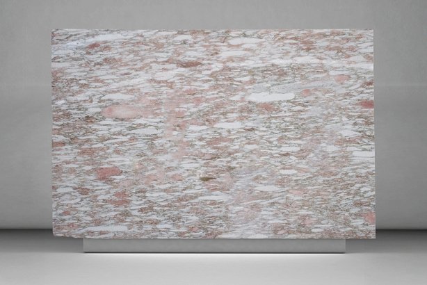 Rosa Norvegia - Imagen 2